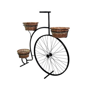 Jardinera Bicicleta