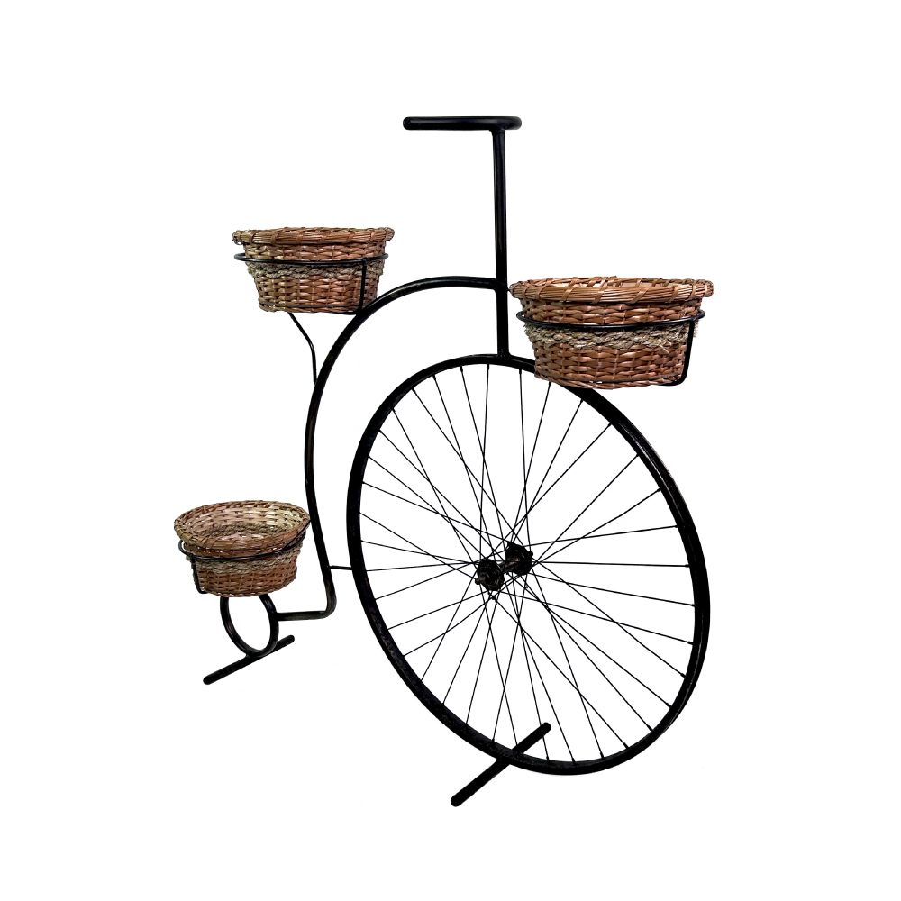 Jardinera Bicicleta